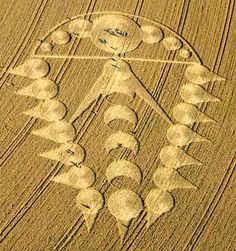 an aerial view of a farm field with crop circles in the shape of a man's head