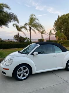 a white convertible car parked in front of palm trees