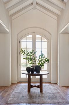 two potted plants sitting on top of a wooden table in front of a window