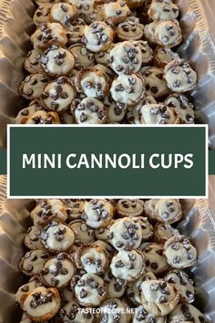 mini cannoli cups in a plastic container with the title overlaying it