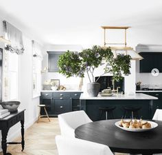 a black and white kitchen with lots of chairs around the table, potted plant in the center