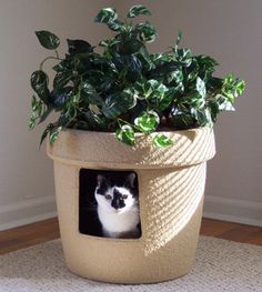 a black and white cat sitting in a planter with its head inside the hole