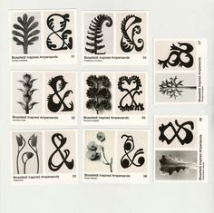 several different types of flowers and plants are shown in black and white ink on paper