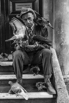 a man sitting on the steps with pigeons in his hand and one bird flying towards him