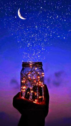 someone is holding up a jar with lights in it and the night sky above them