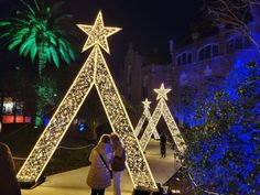 people looking at christmas lights on trees