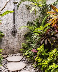 an outdoor shower surrounded by tropical plants and rocks in the middle of a garden area