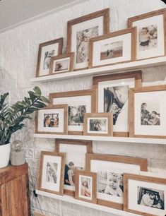 there are many frames on the wall with pictures hanging above them and a potted plant next to it