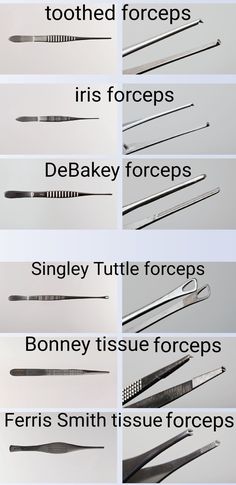 the different types of dental instruments are shown