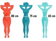 the size and height of women's bodysuits are shown in different colors