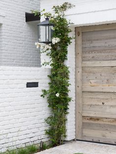 a white brick building with a wooden door and ivy growing up the side of it