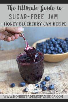 the ultimate guide to sugar - free jam and honey blueberry jam recipe with text overlay