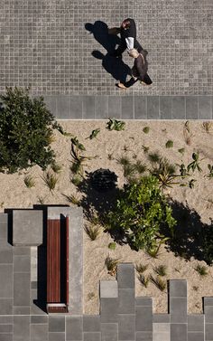 a man is walking down the sidewalk with his skateboard in hand and some plants on the ground