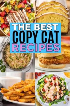 the best copycat recipes for cat owners and their cats, including chicken sandwiches, fish salads, french fries, coleslaw