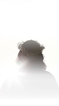 a person with a bird's nest on their head in the foggy sky