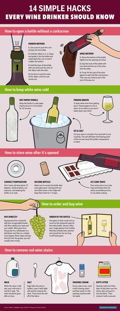 the ultimate guide to wine tasting info for every type of drinker in the world