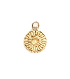 Wholeness : Baby Medallion Logo Jewelry, Vintage Medallion, Find Balance, Gold Medallion, Finding Balance, Medallion Necklace, Gold Baby, Ancient Symbols, A Snake