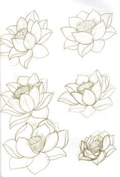 four different types of flowers are shown in this drawing lesson for beginners to learn how to