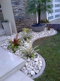 a small garden with rocks and plants in the front yard, next to a house