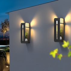 three lights that are on the side of a wall next to a potted plant