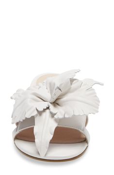 An oversized flower makes a fanciful statement on the toe of a versatile, low-heel slide sandal. Style Name:Cecelia New York Lila Slide Sandal (Women). Style Number: 6118767. Elegant Slide Mules With Removable Insole, Chic Slides With Heel Loop For Spring, White Mules With Heel Loop For Spring, Elegant Open Toe Slides For Spring, Elegant Synthetic Slides For Spring, Elegant Spring Slides With Sculpted Heel, Elegant Summer Slides With Sculpted Heel, Elegant Flat Heel Slides For Spring, Elegant White Slides For Spring