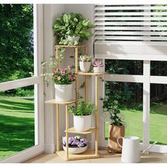 three tiered plant stand with potted plants in front of an open window on a sunny day