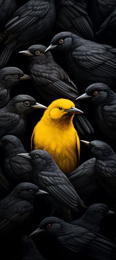 a yellow bird surrounded by black birds with long beaks on it's head