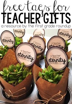 there are four paper bags with plants in them and the words free tags for teacher gifts