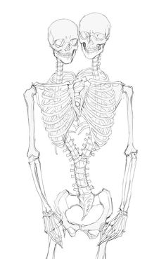 a drawing of two skeletons sitting next to each other