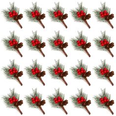 a bunch of red and green flowers with pine cones on them are arranged in rows