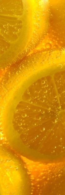 closeup of sliced lemons and orange slices in water