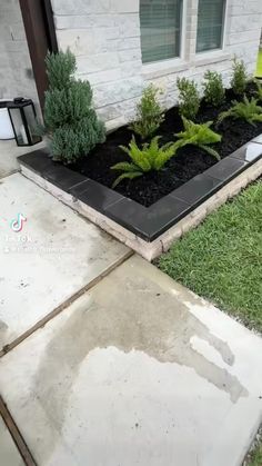 the front yard is clean and ready to be used as a planter for plants