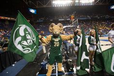 the mascot is holding two green flags in front of an audience at a basketball game