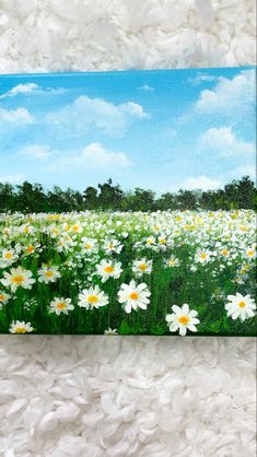 Acrylic painting on canvas of a white daisy flower field with beautiful background blue sky with clouds Sky Art Painting, Canvas For Beginners, Daisy Painting, Flower Painting Canvas, Simple Canvas Paintings, Easy Canvas Art, Canvas Painting Designs, Painting Ideas On Canvas, Landscape Art Painting