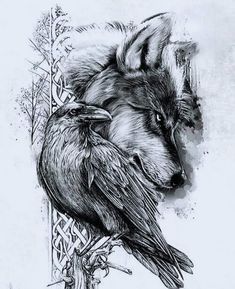 Nordic Bird Tattoo, Raven And Wolf Art, Wolf And Raven Tattoo Design, Wolf And Raven Tattoo Norse Mythology, Wolf And Crow Tattoo, Raven Wolf Tattoo, Native Wolf Tattoo, Wolf Tattoo Design Sketches, Wolf Raven Tattoo