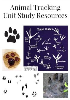 an animal tracking unit study resources is shown in the bottom left hand corner and below