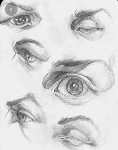 an image of different eyes drawn in pencil