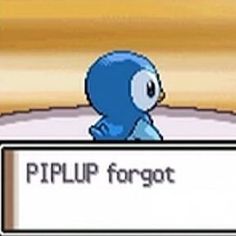 a blue bird sitting on top of a table next to a sign that says piplup forgot