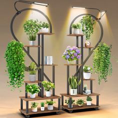 three shelves filled with potted plants next to each other on top of a wooden floor