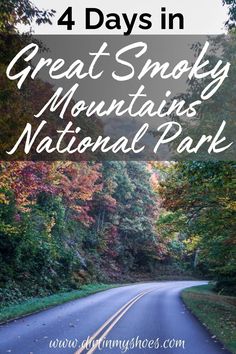 the great smoky mountains national park with text overlay that reads 4 days in great smoky mountains national park