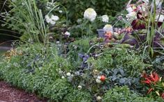 the garden is full of flowers and plants in it's borders, along with other vegetation