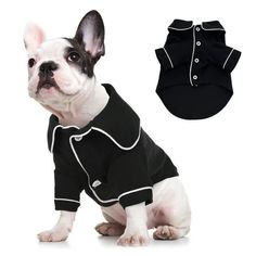 a small dog wearing a black shirt with white piping on it's chest