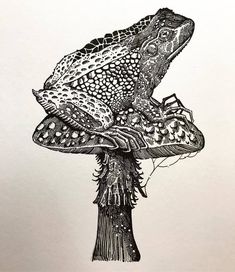 a drawing of a frog sitting on top of a mushroom