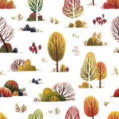 an illustration of trees and rocks in the woods on a white background with red, orange, green, yellow and blue colors