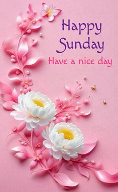 pink and white flowers on a pink background with the words happy sunday have a nice day