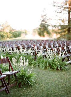 a field full of wooden chairs with flowers on them