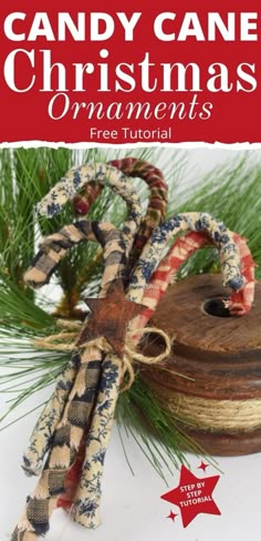 a candy cane christmas ornament is shown on top of a pine tree branch