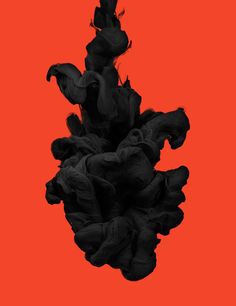 an abstract photograph of black flowers against a red background