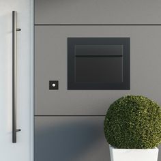 a potted plant sitting in front of a door with a light switch on it