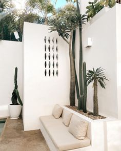 a white couch sitting next to a tall palm tree